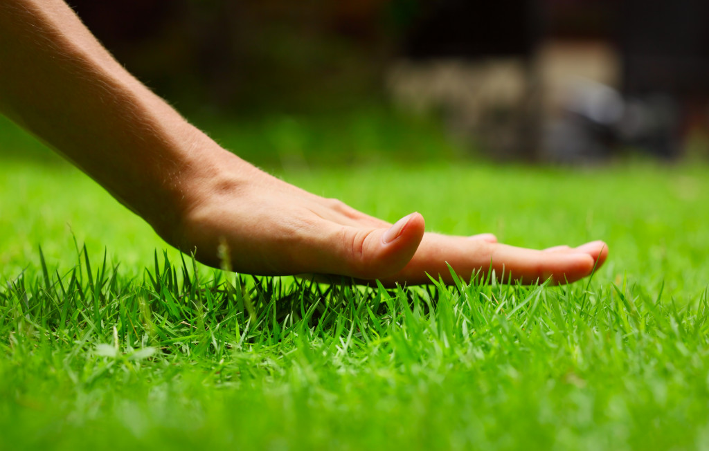 woman touching grass